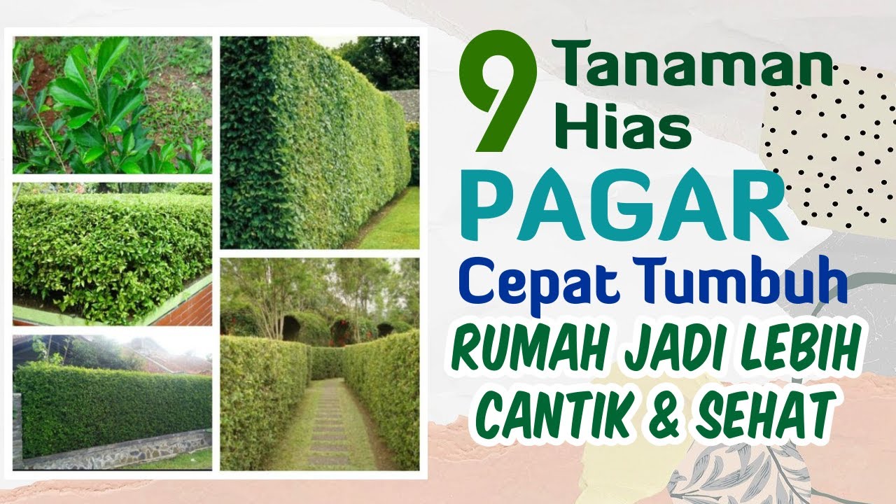 Bikin Rumah Lebih Hijau