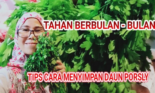 Cara Simpan Peterseli Agar Tetap Segar Dan Selama 2 Minggu
