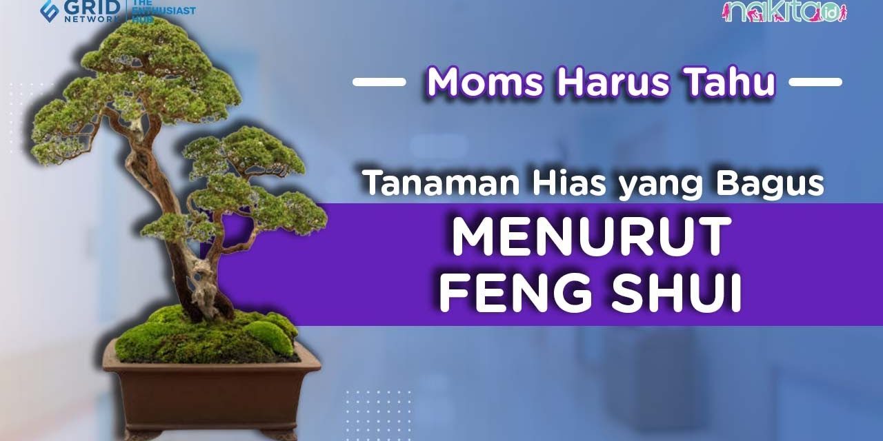 7 Tanaman Hias Untuk Teras Rumah Berdasarkan Feng Shui