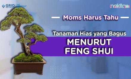 7 Tanaman Hias Untuk Teras Rumah Berdasarkan Feng Shui