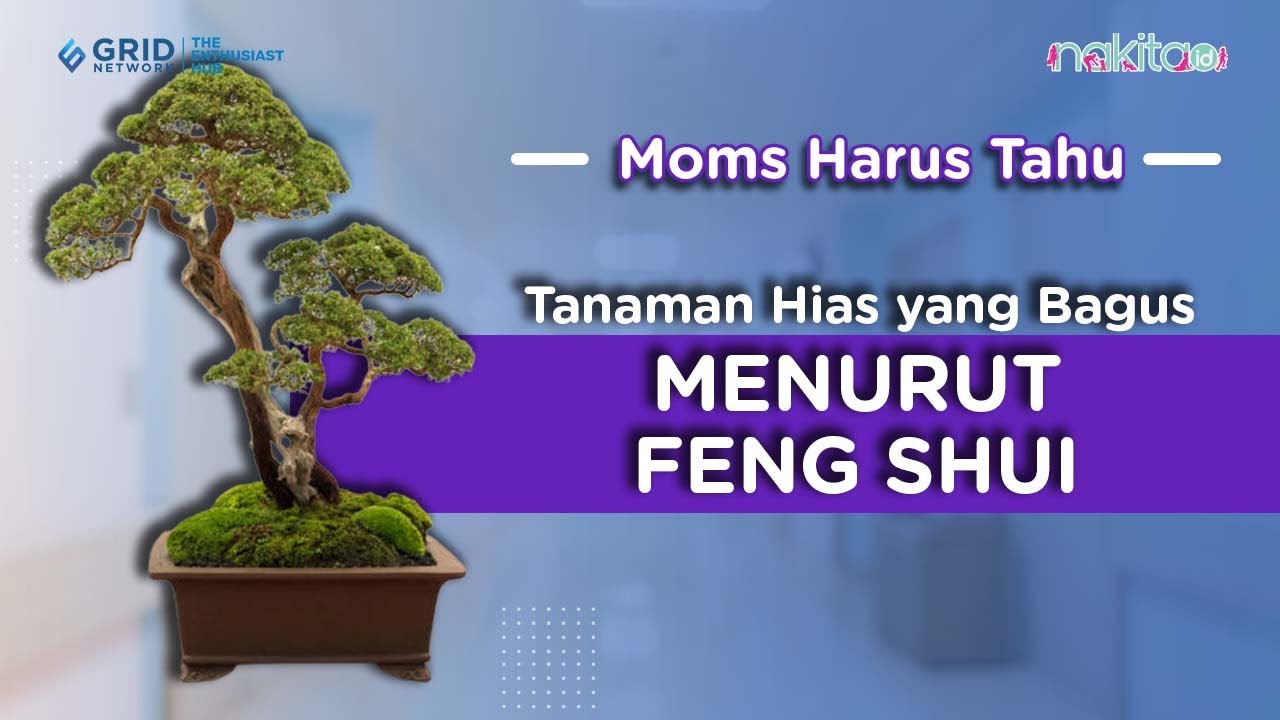 7 Tanaman Hias