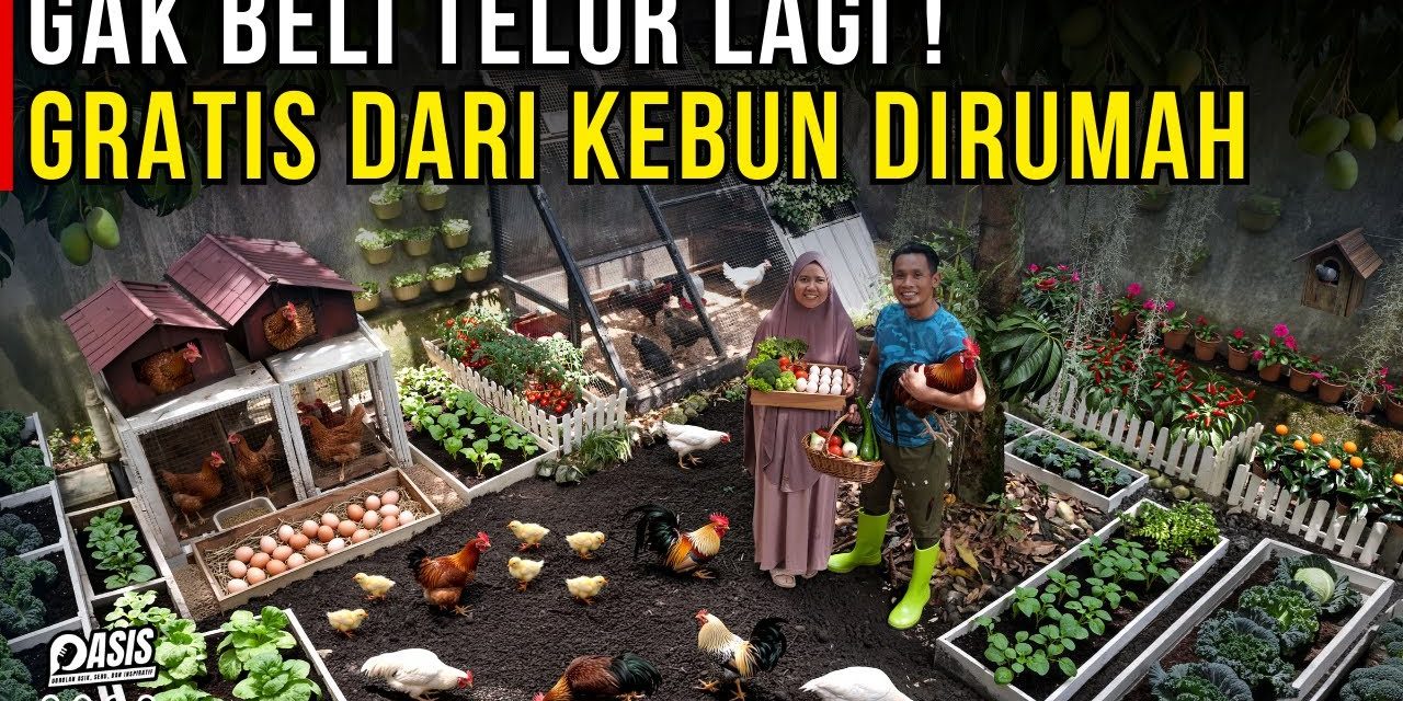Konsep Kebun Sayuran Dan Ternak, Satu Lahan Banyak Hasilnya