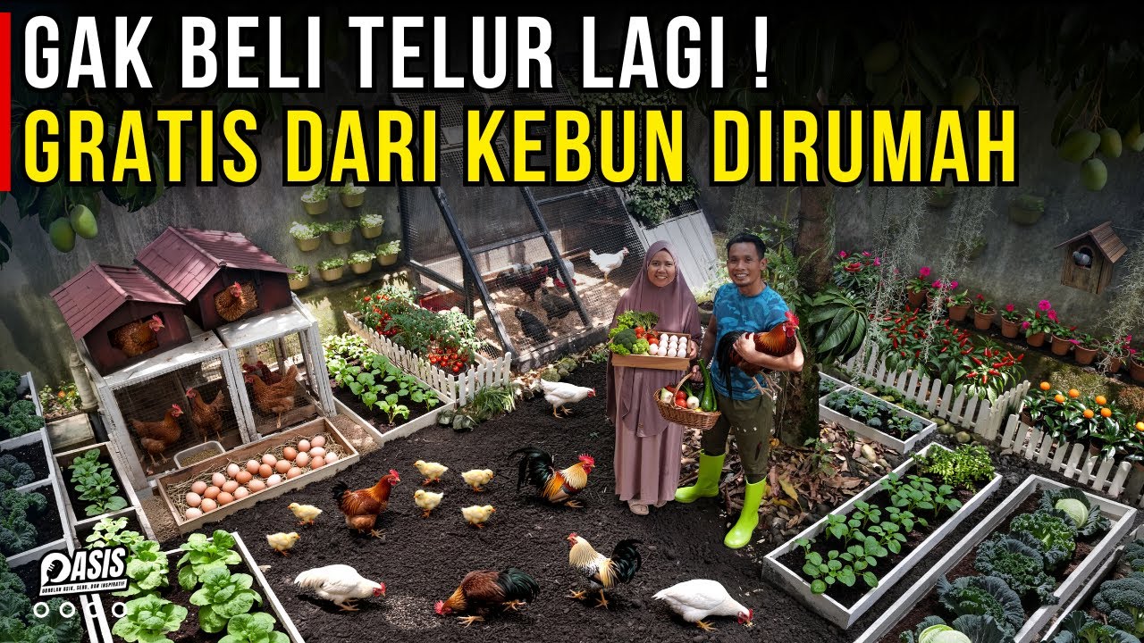 Konsep Kebun Sayuran