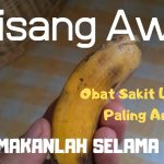 Khasiat Pisang Awak Ampuh Dalam Mengobati Penyakit Lambung