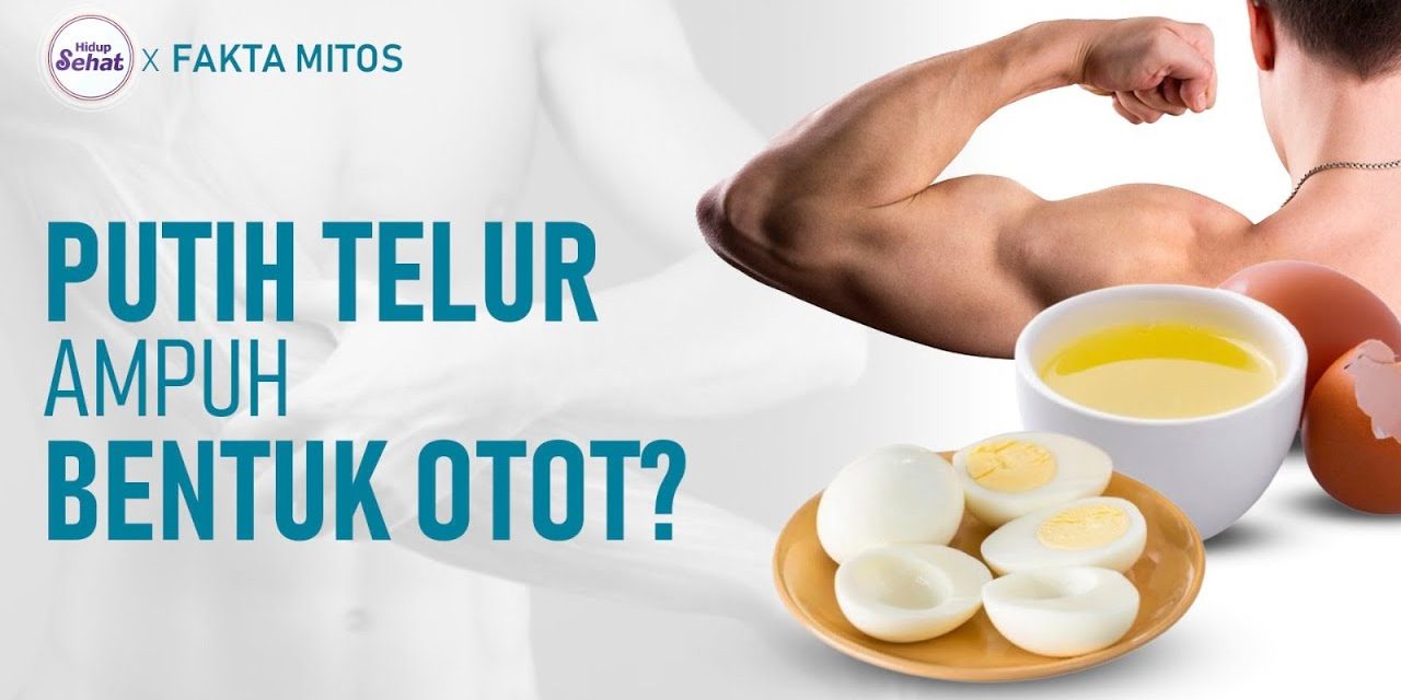 Manfaat Luar Biasa Putih Telur untuk Menurunkan Berat Badan