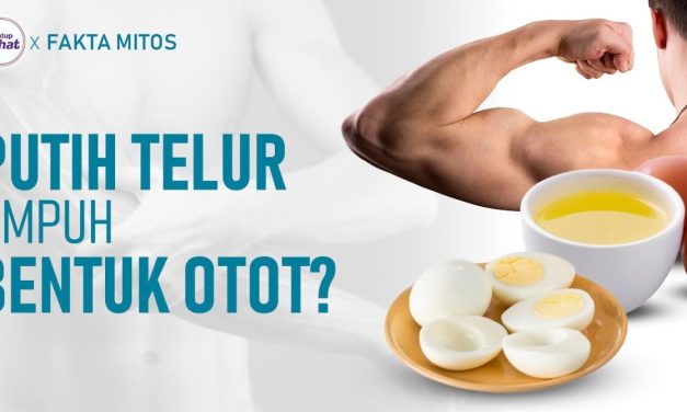 Manfaat Luar Biasa Putih Telur untuk Menurunkan Berat Badan