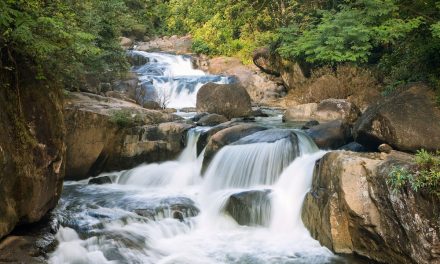 Taman Nasional Khao Yai Miliki Kekuatan Magis Karena Keindahan
