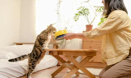 Rahasia Kucing Lebih Patuh Pada Pemiliknya