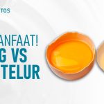 Kuning Telur Dan Kesehatan Jantung, Ini Kata Dokter Gizi Tubuh