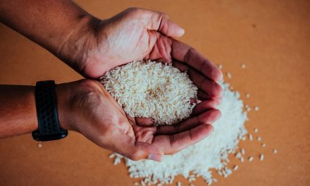 Awas Beras Oplosan! Cek 4 Ciri Ini Sekarang