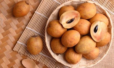 Rahasia Sehat Alami, Buah Ciku Ternyata Baik Untuk Jantung