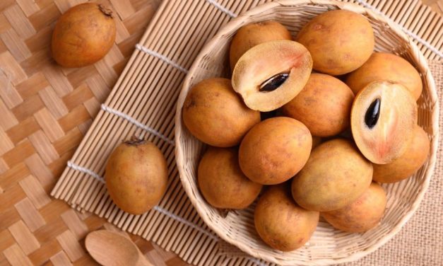 Rahasia Sehat Alami, Buah Ciku Ternyata Baik Untuk Jantung